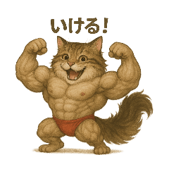 ムキムキちゃこ2