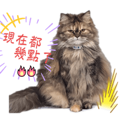 Ching_20250517150521