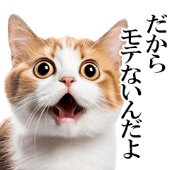 感情が顔に出てしまう猫2