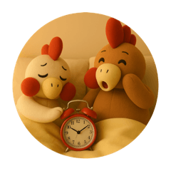 白白チキンと黒黒チキン、学校スタート！