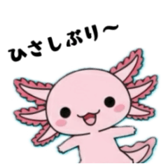 ウーパくん ひさしぶり