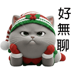 CAT A LITTLE ELF IN CHRISTMAS DAY