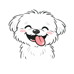 ルーズでかわいいマルチーズ