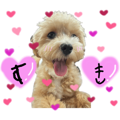 ごえしゃん♡