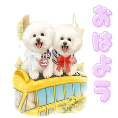 まろとかぐやの雅なひととき♡