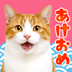 かわいい猫写真♪BIG お正月・年賀【再販】