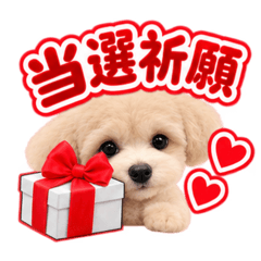 赤担当♡マルプー海斗の推し活スタンプ