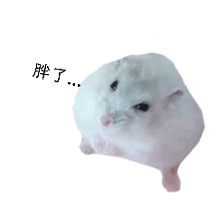 Hamily_20190413183534