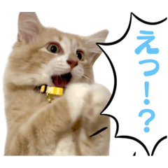 【サイベリアン】チュク•ノア日常スタンプ