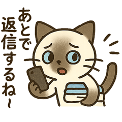 かわいいシャムネコの毎日2 よく使う言葉編