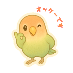 コザクラインコで癒されたい