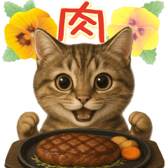 リアルねこ！家族と毎日使える主婦猫の日常