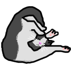 私の猫は液体です