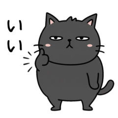 うちのおはぎ(猫)