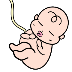 胎児⭐︎ミラクルくるりちゃん