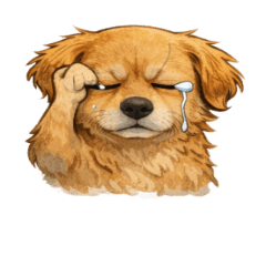 Golden Retriever is in a bad mood 05