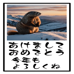 マーモットのBIG年賀状(再販)