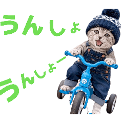 にゃんきちと柴の日常スタンプ