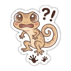 ニホンヤモリのタロ①