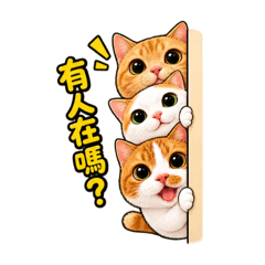 Folosp02_20260821191444