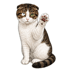ちょこの毎日イラスト