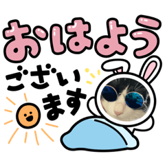にゃんこスタンプ ここあ