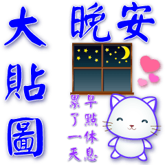 Cute white cat - practical big stickers