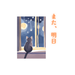 猫と夜景