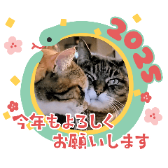 ねことも＆うちのねこ☆巳年