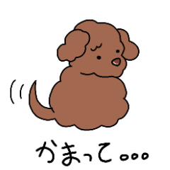 愛しの犬わんこ