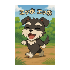 今時のシュナちゃん