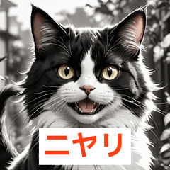 毎日つかえるハチワレスタンプ