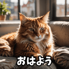 Cute Animal Characters2