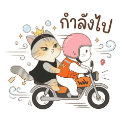 MEMEE'S FRIEND IS LUNA CAT