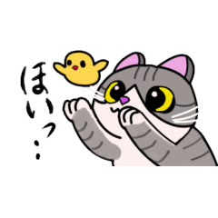 にゃんこはにゃんこ弐