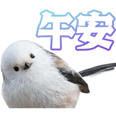 シマエナガであいさつ