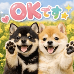 飛び出す♡春柴犬