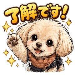 トイプードルの毎日リアクション