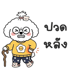 The Little Dog in the Fried-Egg Shirt(B)