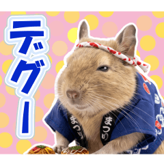 デグーの日常.