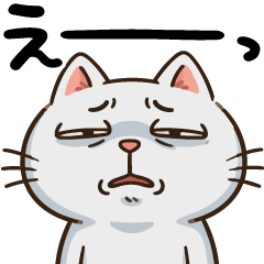 オーバーリアクション猫②