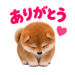 子柴のほっこり毎日スタンプ