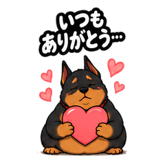ぽっちゃりドーベルマン