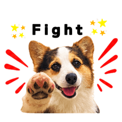 コーギー好き集まれ