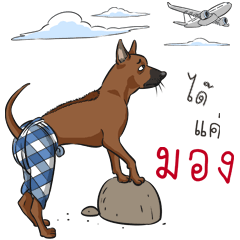 Namtarn Lang Aan Thai