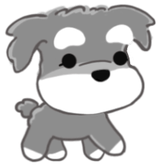 かわいいシュナ犬なんとなく動く