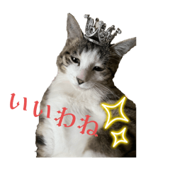 ラクっちスタンプ1