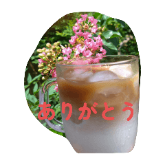 なつのせいかつ