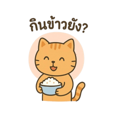 KN Tarra_20250815173055