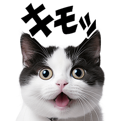 感情が顔に出てしまう猫ポップアップ